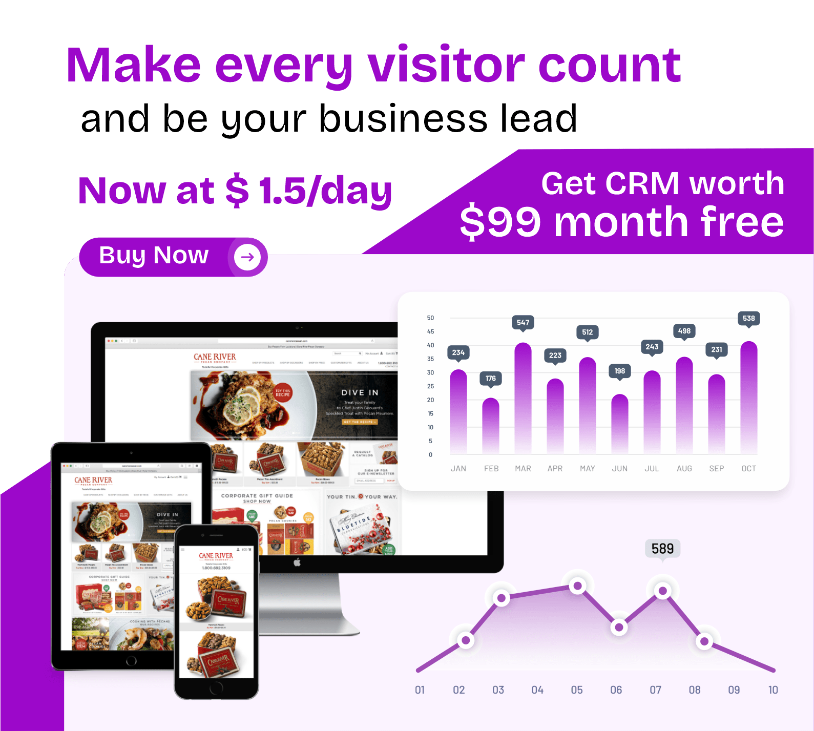 Get CRM from custom web development company